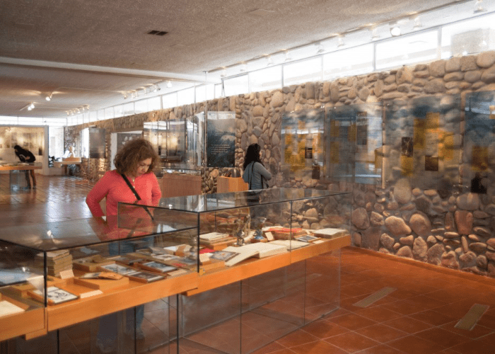 Tour Valle del Elqui